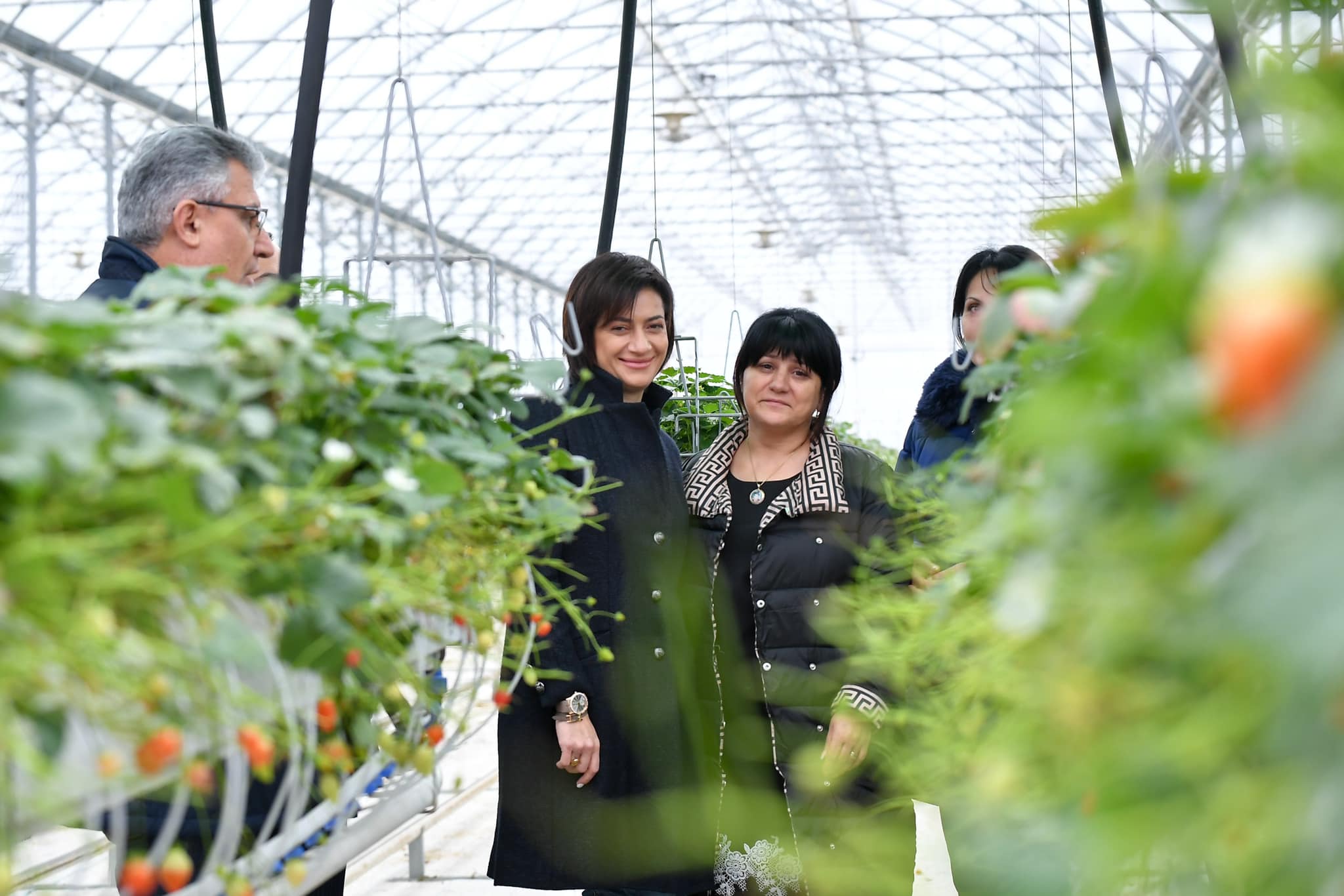 Աննա1.jpg (191 KB)