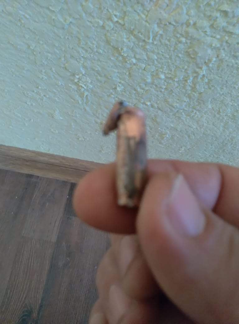 274116137_170896748596539_2913759801552289364_n.jpg (63 KB)