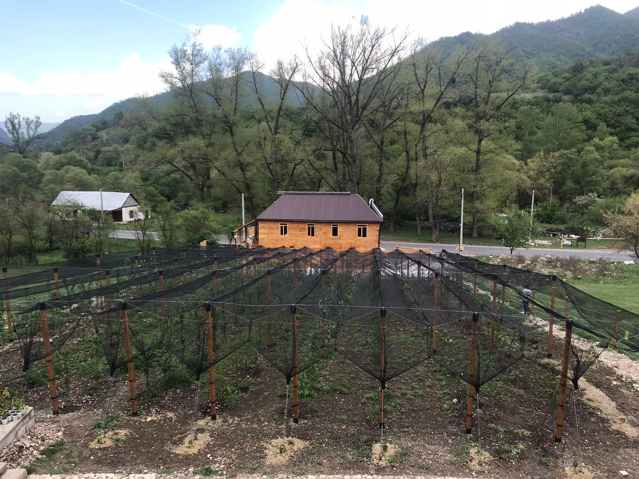 278922023_520031213063120_1523311883234438813_n.jpg (667 KB)