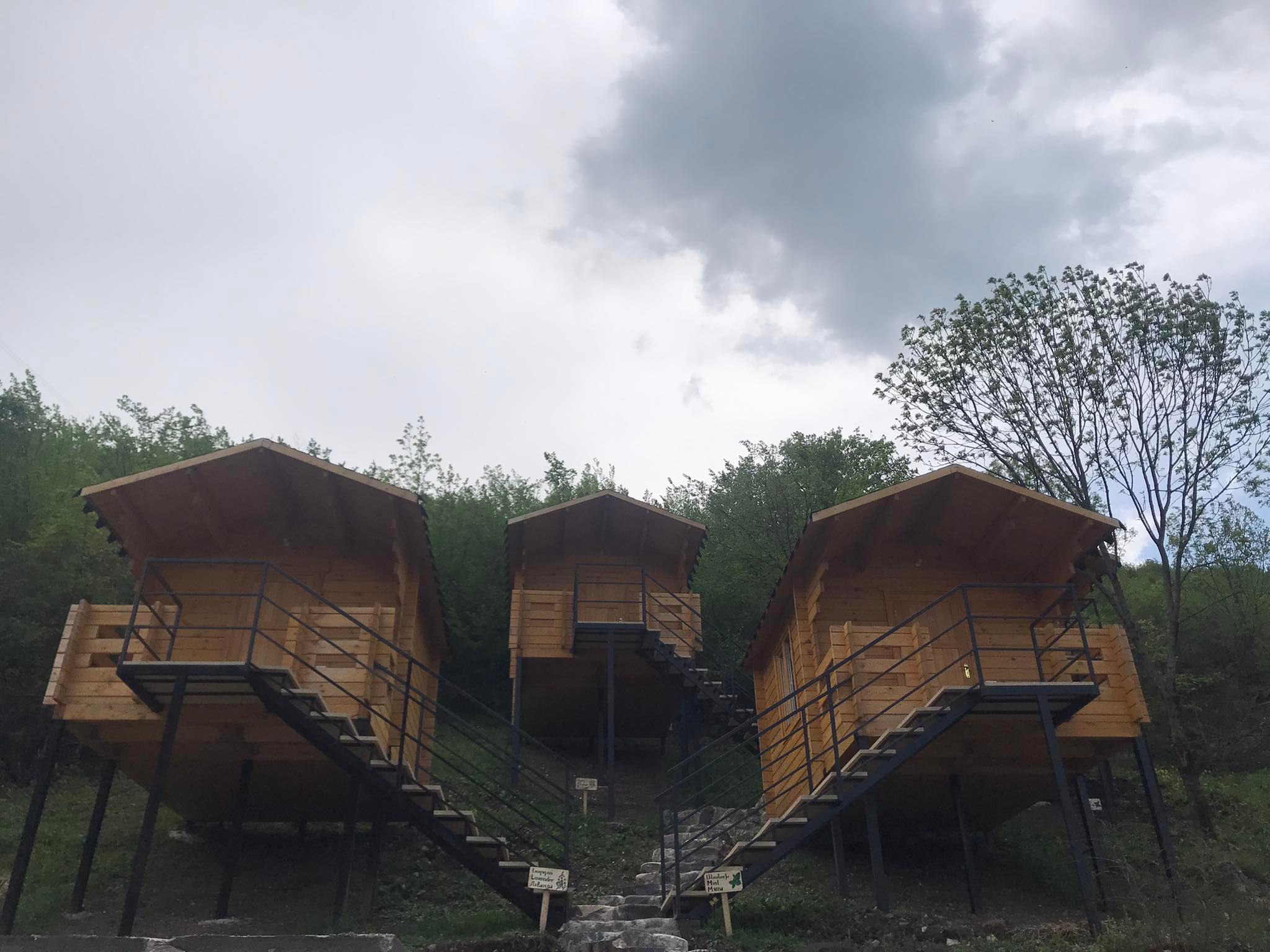 279100253_358068399684546_919662031715291048_n.jpg (311 KB)