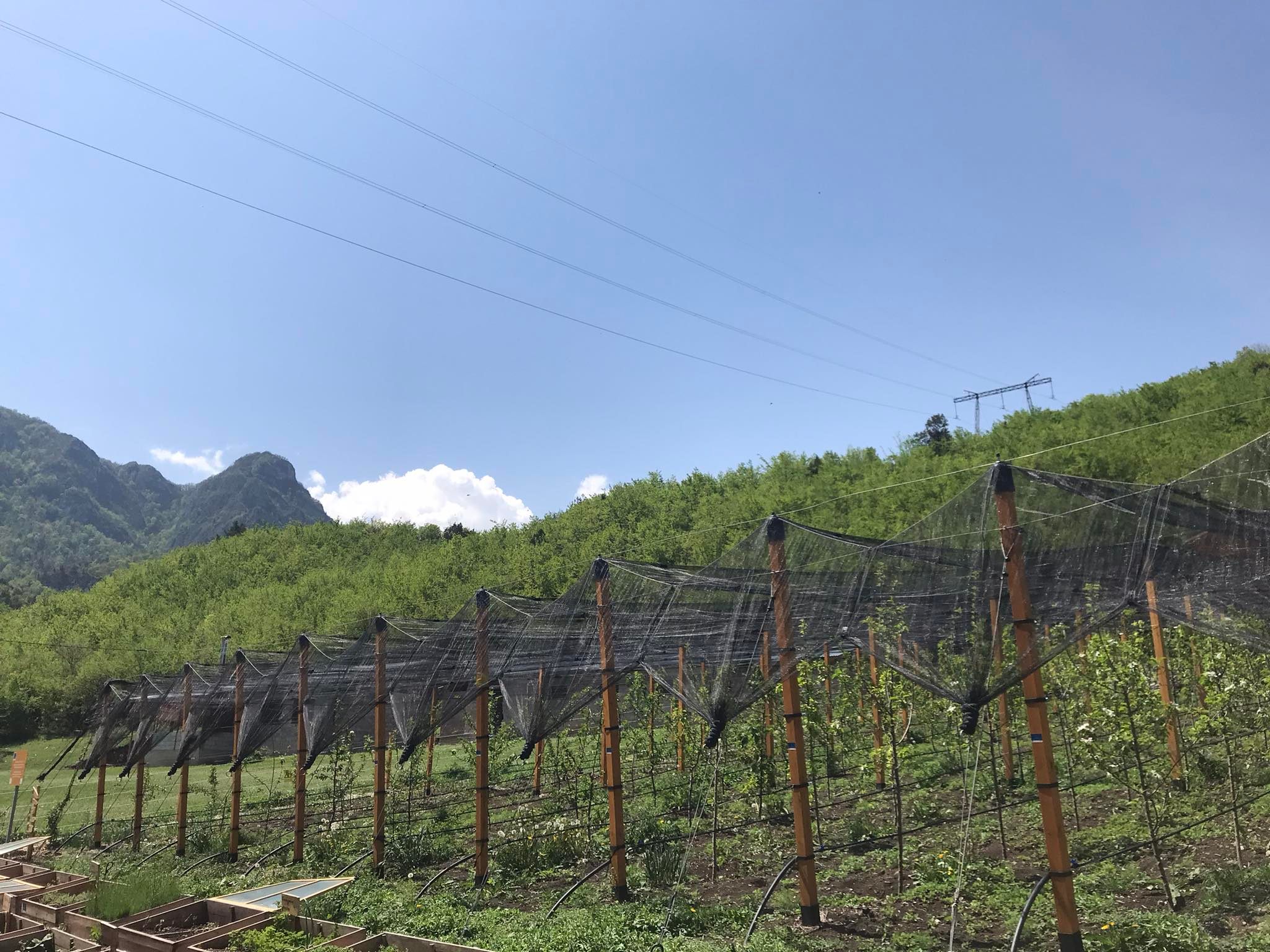 279113412_1185699835499296_4302369059572293269_n.jpg (487 KB)