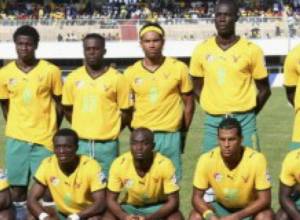 Կեղծ հավաքական