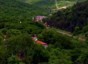 Հակադոպինգային նիստ Ծաղկաձորում