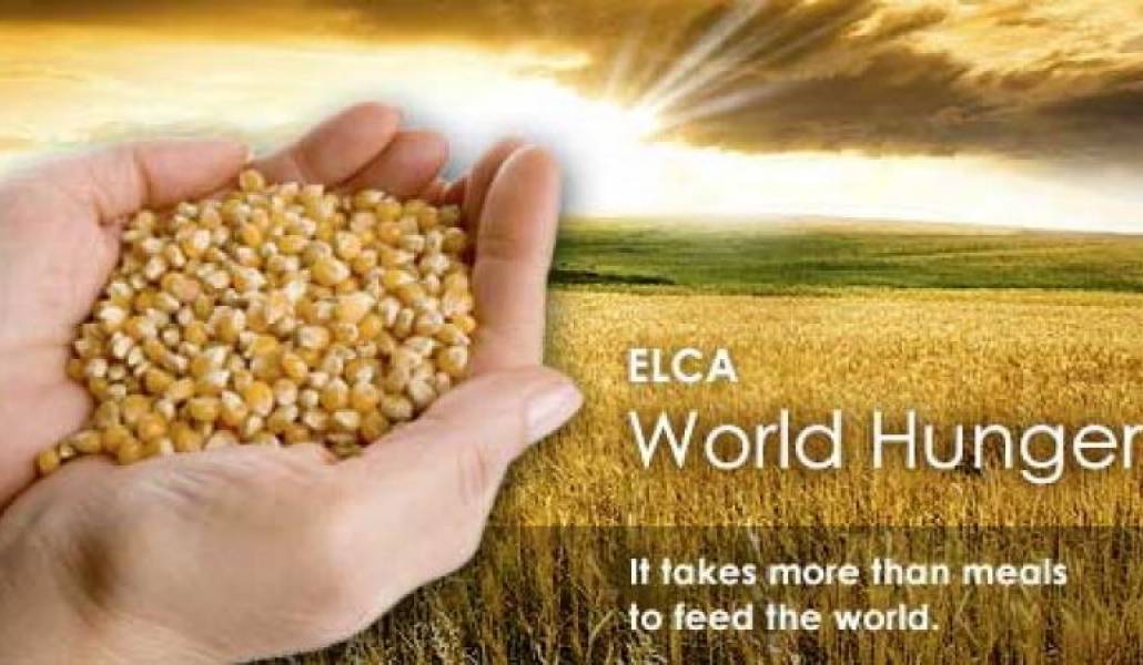 15f3bb301cb316d8f79ec6018e2de7a0