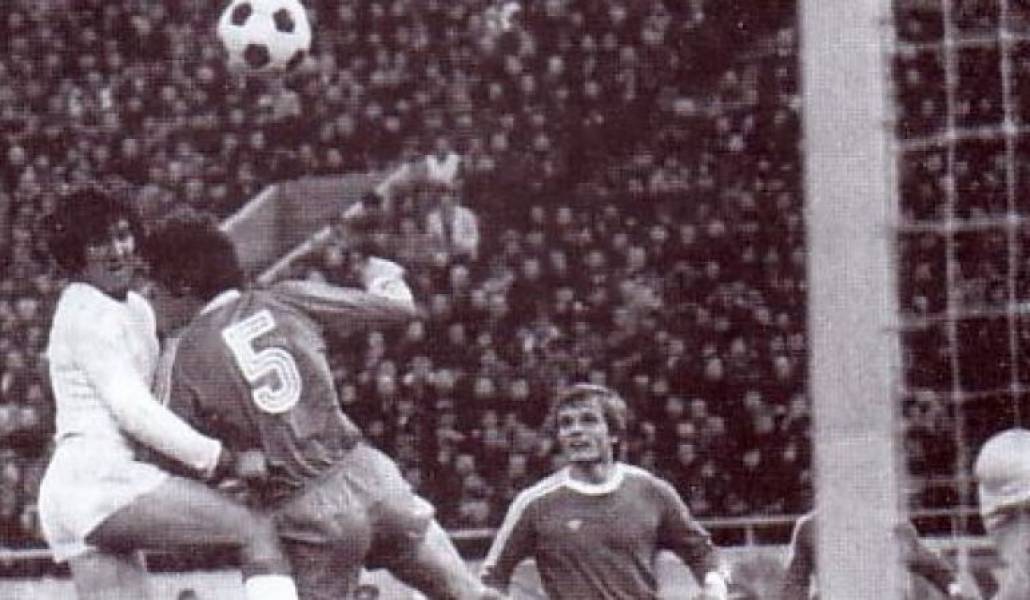 3e6ad8ca2d8eb70522f818a4e46e9491