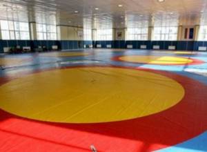 Ազատ ոճայինները մեկնեցին Վլադիկավկազ