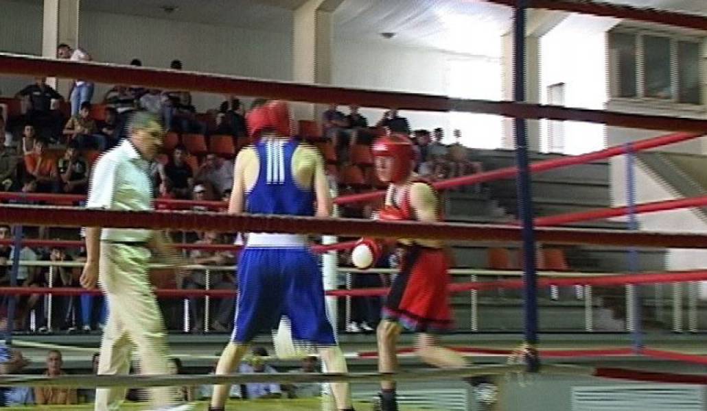 3e8a0d29681f6e33117b2842e1249af2