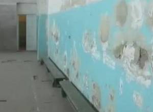 Կրթվում են  գարշահոտության մեջ