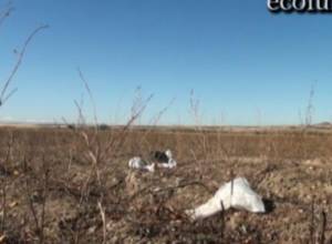 Կիրճերը վերածվում են աղբավայրերի