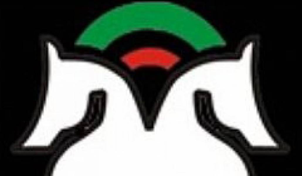 965136d3de61c66e7f42929d4894eebf