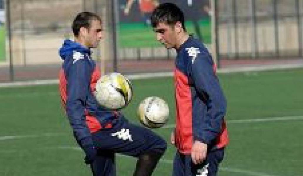 2fae34c6207a869cdd129315b4c48d66