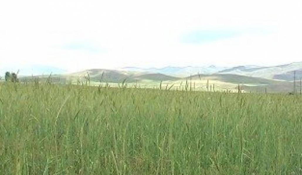 ba72e4303e14ab1e173f72d74ca08023