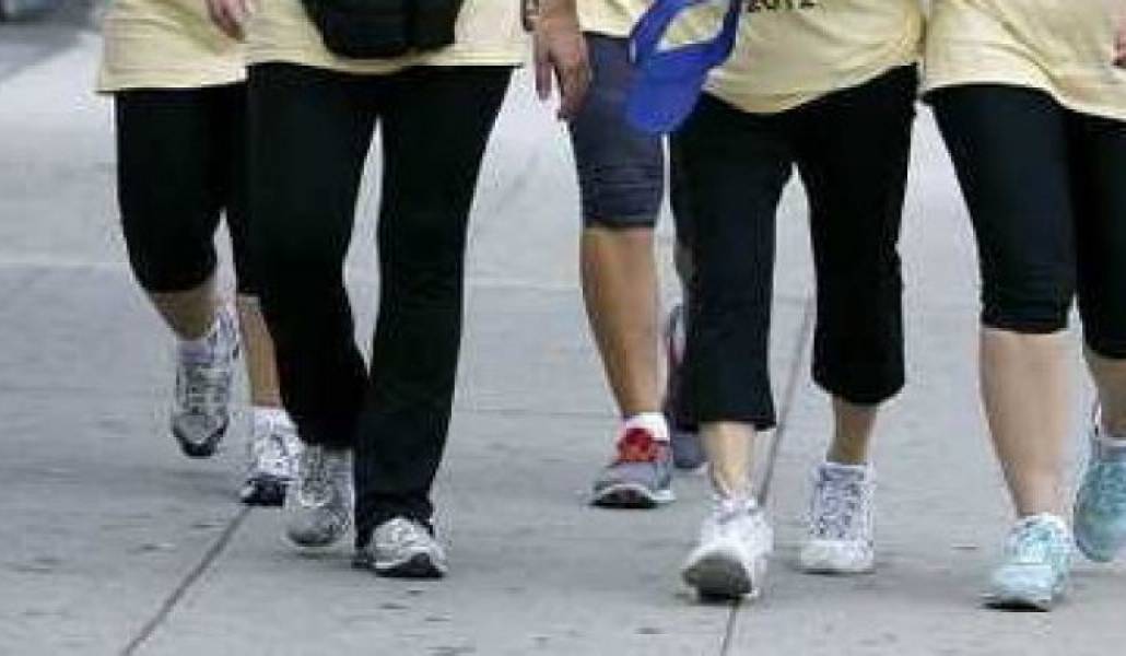 12d2336a1d17ee078c407ab7a5fbb28e