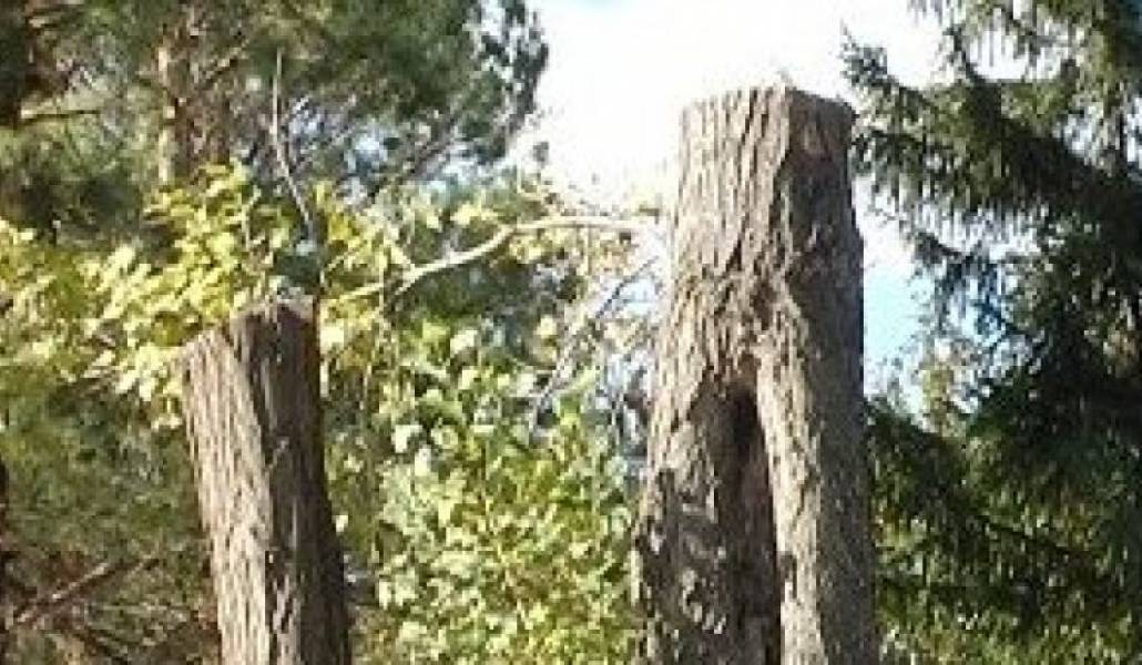 e81e5894716b95f8aa62fc0736f919e9