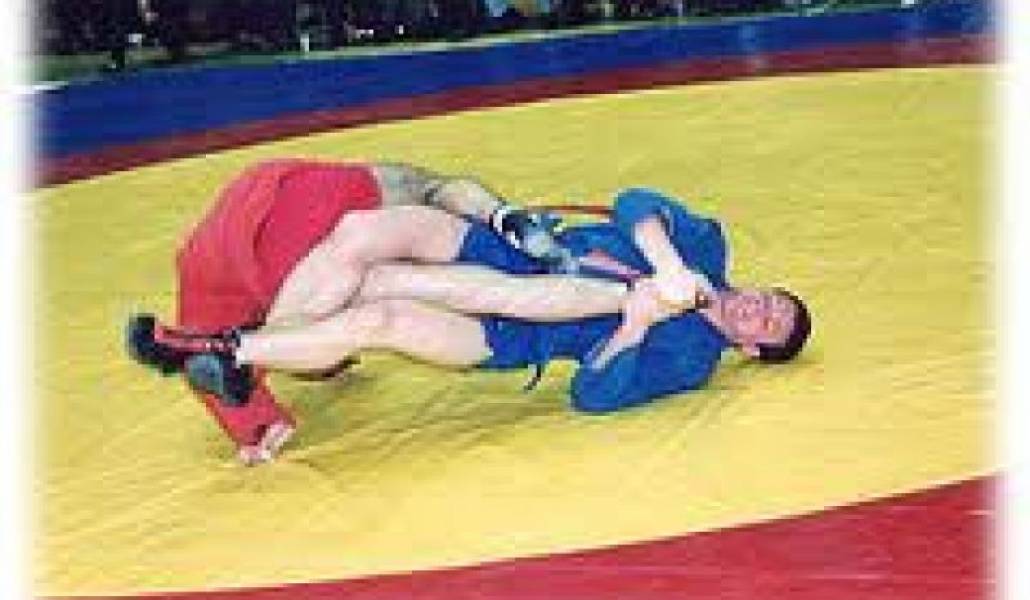 cc84a15330987567464bb4da4e5bd41d