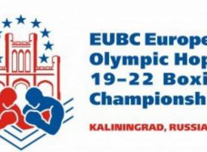 Պայքարը շարունակում են 3 բռնցքամարտիկ