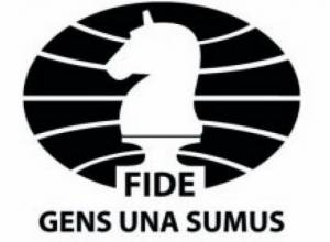 ՖԻԴԵ-ի նախագահական նիստ Ծաղկաձորում