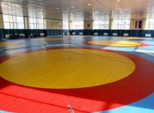 Հայաստանի հավաքականը մեկնեց  Թեհրան