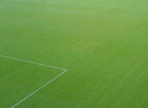 Չեխիան հրապարակեց կազմը