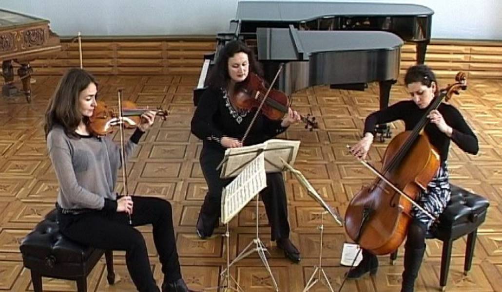 9c8b2c5d92c055a5f7965b4db34ac139