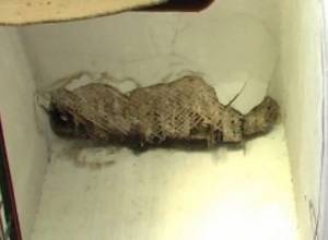 Փլուզում է գրանցվել Գյումրու Տիգրան Մեծի 28 հասցեում