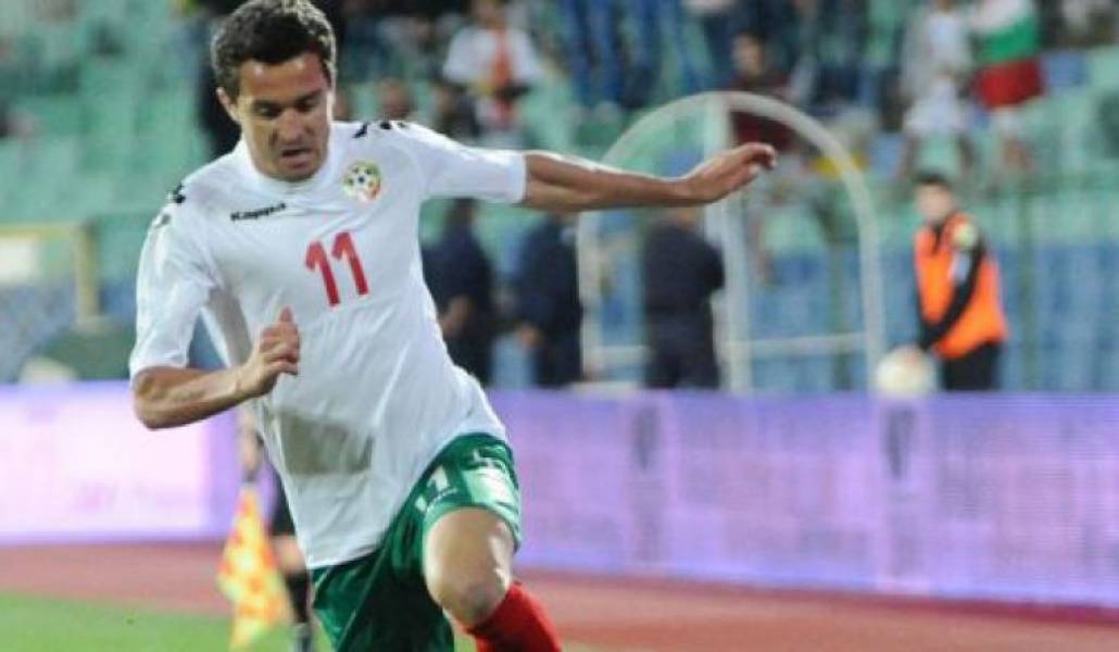 af80de1445dc7430c7eed569861f9435