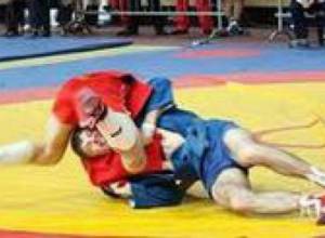 Հաղթեցին միայն երկու քաշային կարգում