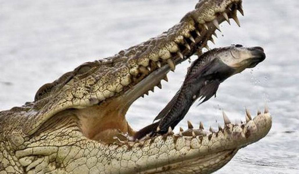 122fb59cc3be526510bb2388aaddd2f9