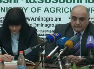 Կաթնամթերքի գինը կբարձրանա