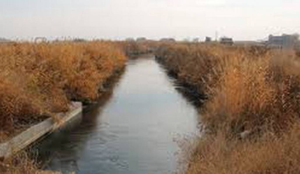 հորեր1