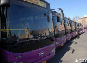 Officials follow special policies in transport sphere