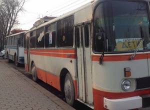 Замки повесили на дерево