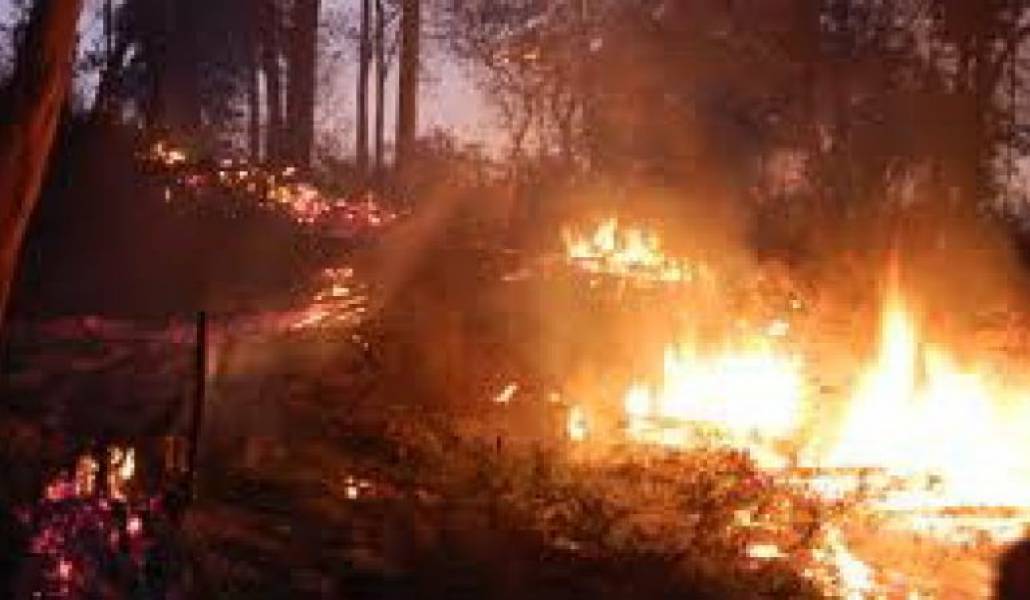 4ae31353bfbd03c0348cd10cdef3228f