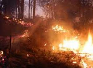 About 18 thousand sq/m burnt