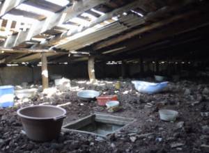 People in Vardashen live with scorpions and snakes 