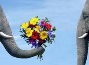 "Государство не сдерживает цены"