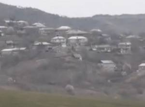 Planting trees for protection from the enemy