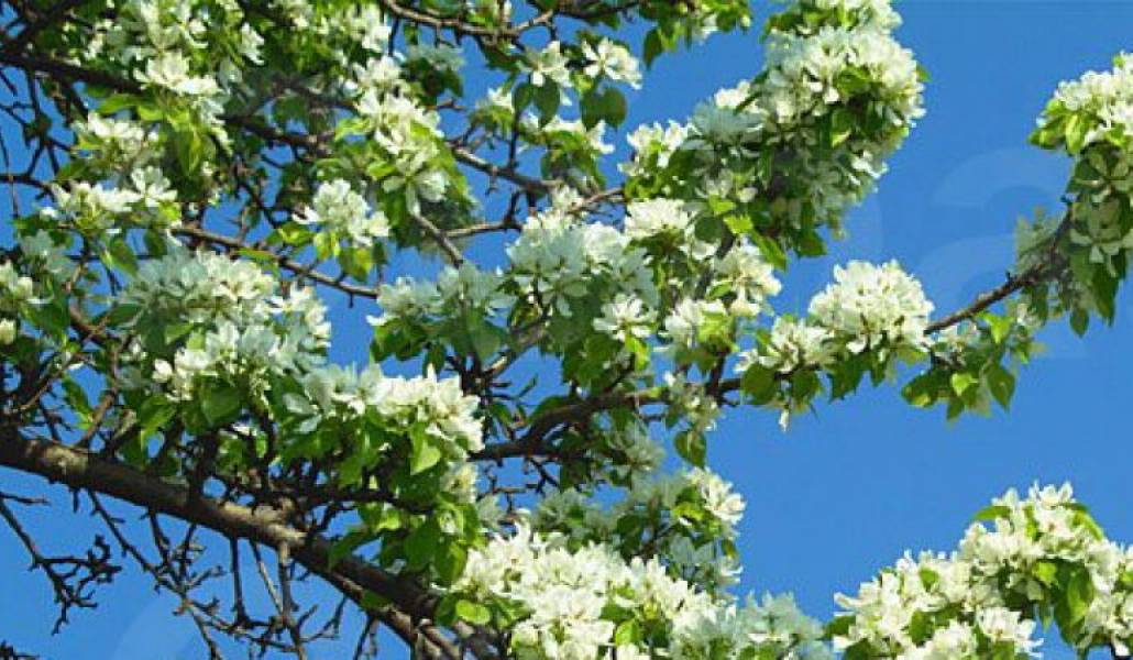 bb8fcbd5bf2ac0db6d84f2e759e181d1