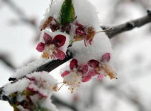 Фермеры: "Нас обманули" 