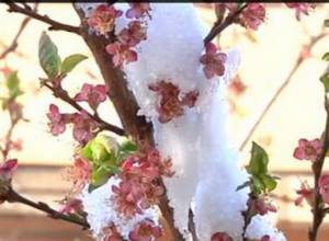 Villagers wait for a meeting with authorities