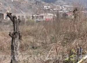 Ավերակ այգուն նորը կփոխարինի