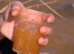 Animals do not go close to the river, villagers need help