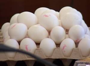 Poultry factory employees stole a large number of eggs
