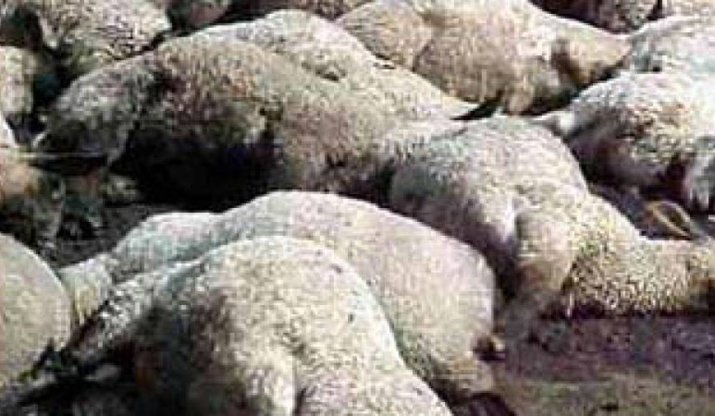 5dd58e0e16daa1c4ce90b1bc5144d325