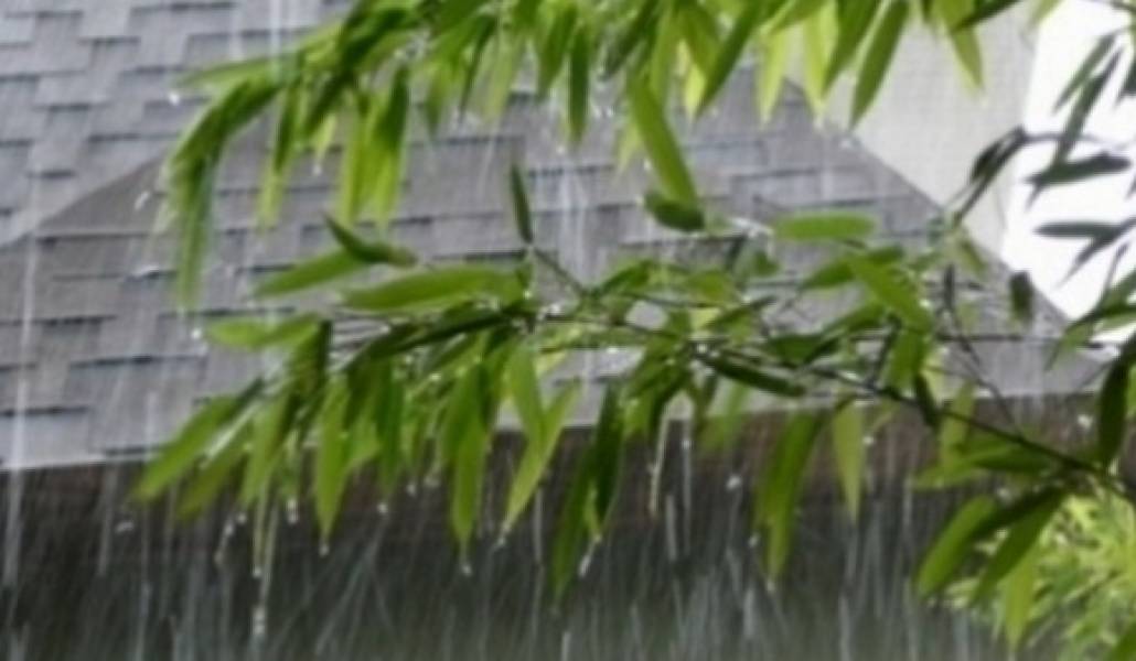 rain