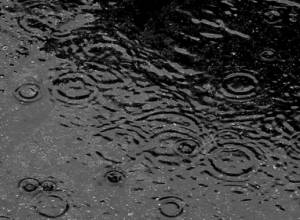 В оросительном водопроводе Арташата обнаружен труп женщины