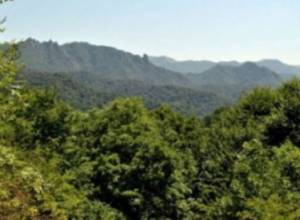 At present Azerbaijani army fires at Barekamavan: Aravot