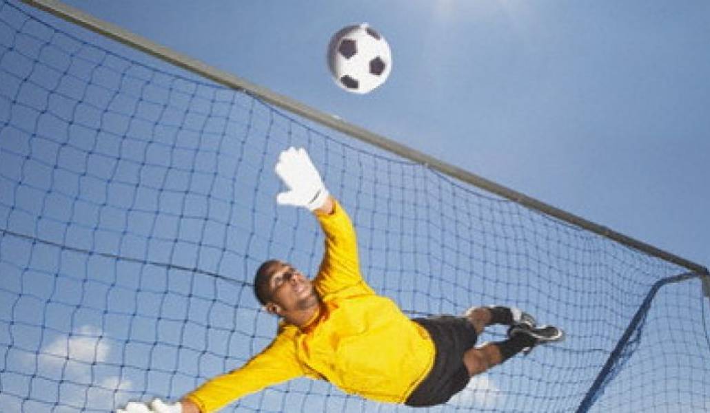 5d40b2371b0ff1844e5ef4bac8ca49ff