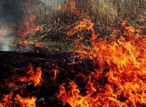 Горят травяные покровы в Ереване