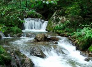 ФактИнфо: Министр охраны природы вынес решение против природы